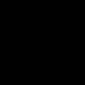 Meet your Posher, Losi